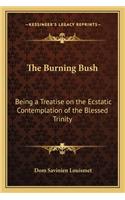 Burning Bush: Being a Treatise on the Ecstatic Contemplation of the Blessed Trinity