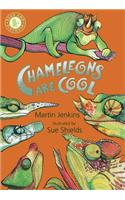 Chameleons Are Cool