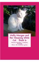 Molly Morgan and Her Amazing White Cat Book 6