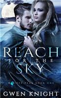 Reach for the Sky