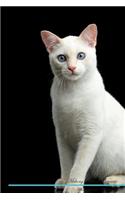 Mekong Bobtail Affirmations Workbook Mekong Bobtail Presents: Positive and Loving Affirmations Workbook. Includes: Mentoring Questions, Guidance, Supporting You.