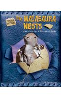 The Maiasaura Nests