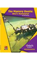 The Mystery Beetle