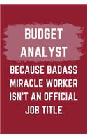 Budget Analyst Because Badass Miracle Worker Isn't An Official Job Title