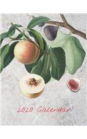 2020 Calendar: Monthly 2020 Fruit Illustrated Calendar With Large Images and Calendar Dates, Spaces to Record Income, Expenses, Important Dates, Goals, Accomplishm(1 2020 Fruit Calendar on Grey Cover)