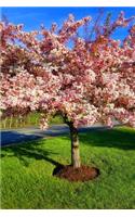 2020 Weekly Planner Flowering Tree Full Bloom 134 Pages: 2020 Planners Calendars Organizers Datebooks Appointment Books Agendas