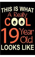 A Really Cool 19 Year Old: Blank Lined Journal, Happy 19th Birthday Notebook, Diary, Logbook, Perfect Gift For 19 Year Old Boys And Girls