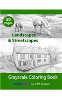 Landscapes & Streetscapes