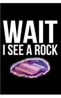 Wait I See a Rock
