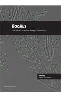 Bacillus
