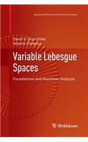 Variable Lebesgue Spaces