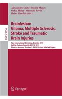 Brainlesion: Glioma, Multiple Sclerosis, Stroke and Traumatic Brain Injuries