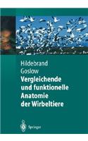 Vergleichende Und Funktionelle Anatomie Der Wirbeltiere