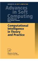 Computational Intelligence in Theory and Practice