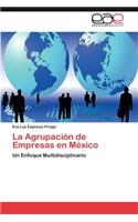 Agrupacion de Empresas En Mexico