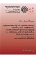 Jugendstrafvollzug und Jugendstrafrecht in Chile, Peru und Bolivien unter besonderer Berücksichtigung von nationalen und internationalen Kontrollmechanismen