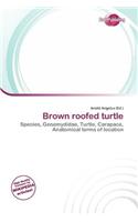 Brown Roofed Turtle