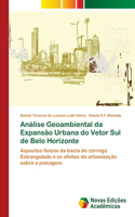 Análise Geoambiental da Expansão Urbana do Vetor Sul de Belo Horizonte