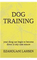 dog training