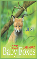 Just Baby Foxes CALENDAR 2022: OFFICIAL BABY FOXES CALENDAR 2022, Squire calendar,12 months, Wild Animals