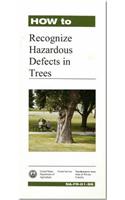 How to Recognize Hazardous Defects in Trees