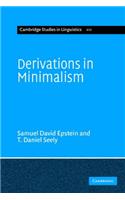 Derivations in Minimalism