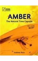 Amber: The Natural Time Capsule