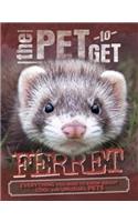 Pet to Get: Ferret