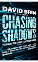 Chasing Shadows: Visions of Our Coming Transparent World