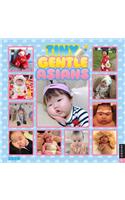 Tiny Gentle Asians 2020 Wall Calendar