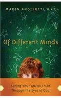 Of Different Minds: Seeing Your AD/HD Child Through the Eyes of God