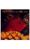 Splendors Of The Seas: The Photographs Of Norbert Wu