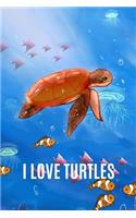 I Love Turtles