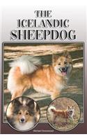 The Icelandic Sheepdog