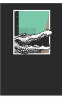 Crocodile Abstract Square: Crocodiles Notebook, Blank Lined (6 X 9 - 120 Pages) Animal Themed Notebook for Daily Journal, Diary, and Gift