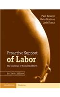 Proactive Support of Labor: The Challenge of Normal Childbirth