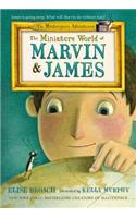 The Miniature World of Marvin & James: (1 Masterpiece Adventures)