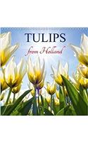 Tulips from Holland 2018