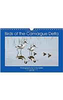 Birds of the Camargue Delta 2018