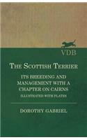 Scottish Terrier - It's Breeding and Management With a Chapter on Cairns - Illustrated with plates