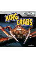 King Crabs
