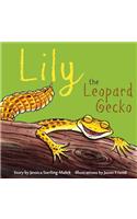 Lily The Leopard Gecko