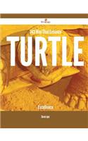 343 Way That Enhance Turtle Excellence