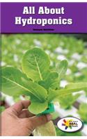 All about Hydroponics