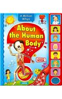 About the Human Body