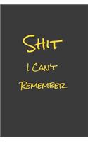 Shit I Can't Remember
