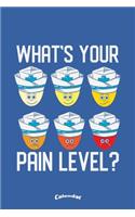 My Pain Level Calendar: Calendar, Diary or Journal Gift for Nurses, Caregivers and Chronic Pain Patients with 108 Pages, 6 x 9 Inches, Cream Paper, Glossy Finished Soft Cov