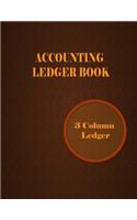Accounting Ledger Book