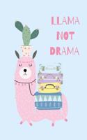 Llama Notebook
