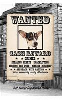 Rat Terrier Dog Wanted Poster: Weekly Planner Notebook 365 Daily - 52 Week Journal 120 Pages 6x9